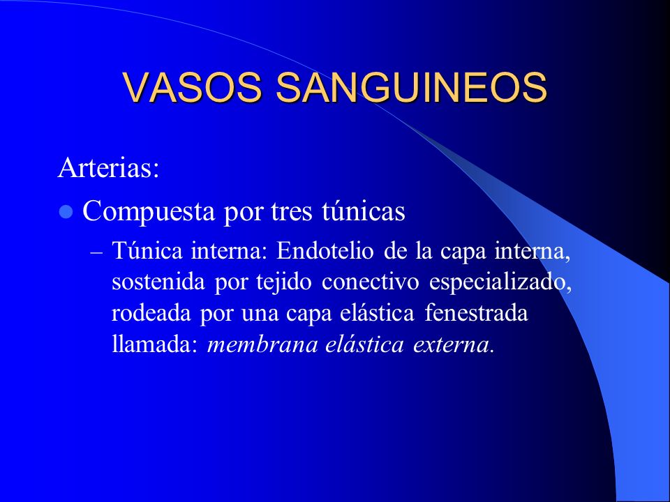VASOS SANGUINEOS Arterias: Compuesta por tres túnicas