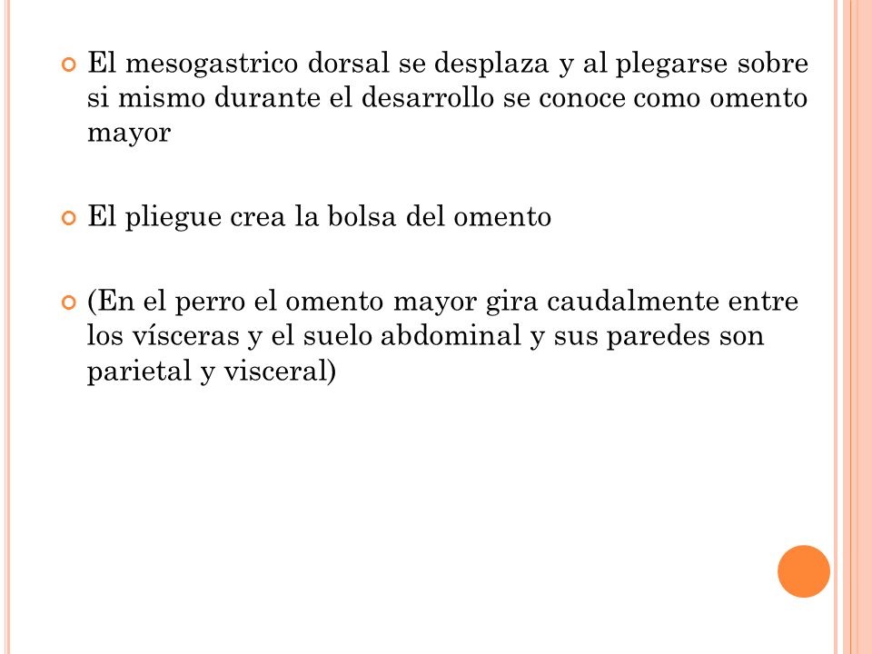 El mesogastrico dorsal se desplaza y al plegarse sobre si mismo durante el desarrollo se conoce como omento mayor