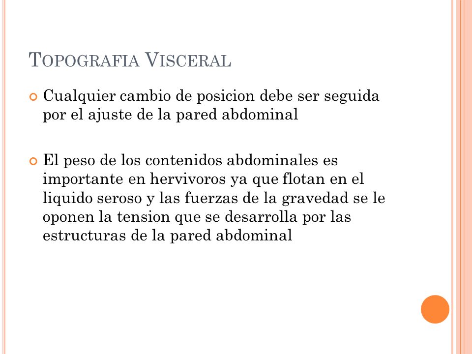 Topografia Visceral Cualquier cambio de posicion debe ser seguida por el ajuste de la pared abdominal.