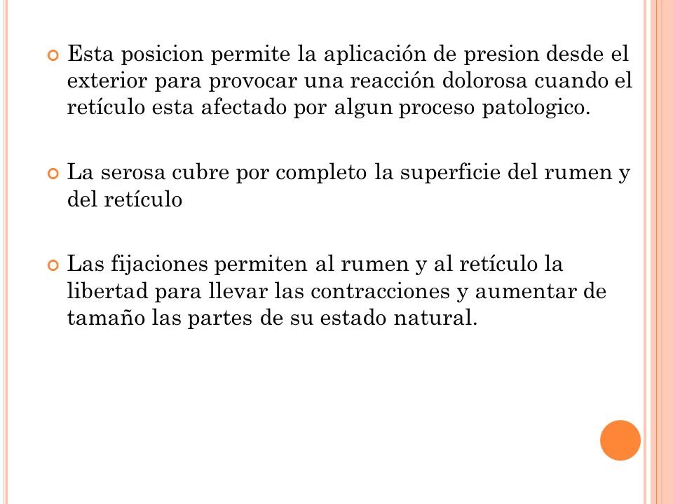Esta posicion permite la aplicación de presion desde el exterior para provocar una reacción dolorosa cuando el retículo esta afectado por algun proceso patologico.
