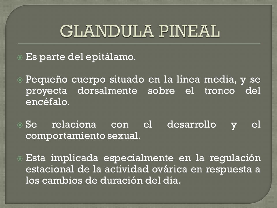 GLANDULA PINEAL Es parte del epitàlamo.