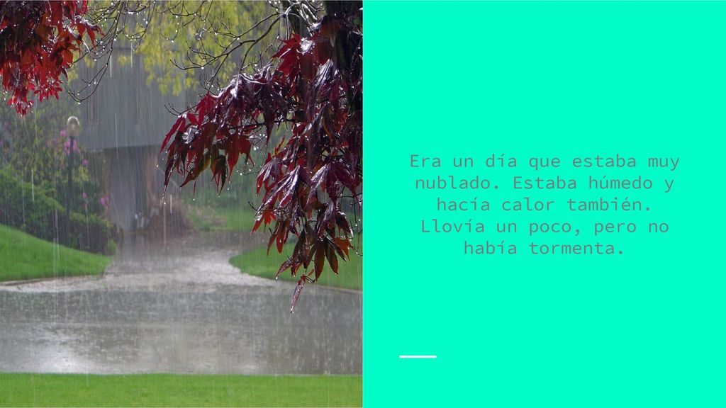 Era un día que estaba muy nublado. Estaba húmedo y hacía calor también