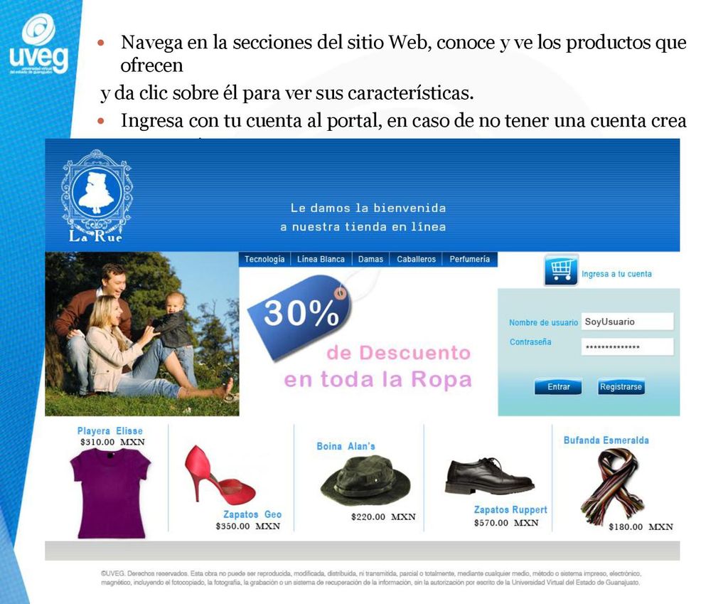 Navega en la secciones del sitio Web, conoce y ve los productos que ofrecen