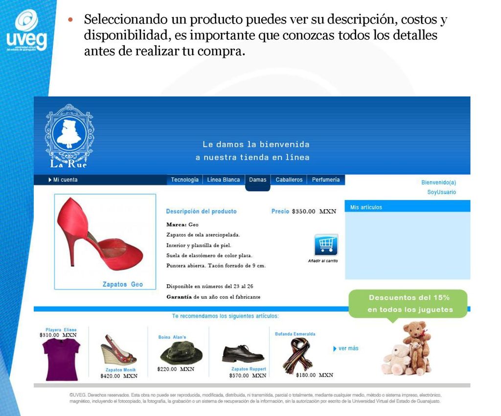 Seleccionando un producto puedes ver su descripción, costos y disponibilidad, es importante que conozcas todos los detalles antes de realizar tu compra.