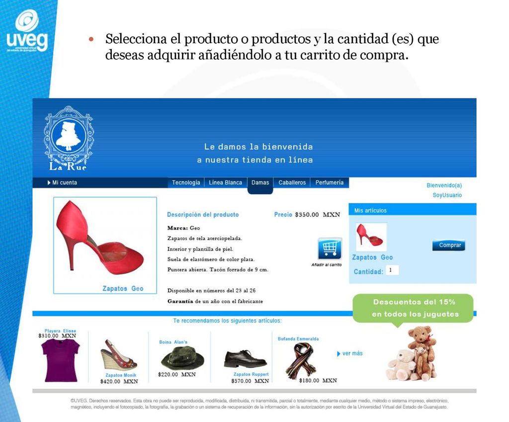 Selecciona el producto o productos y la cantidad (es) que deseas adquirir añadiéndolo a tu carrito de compra.