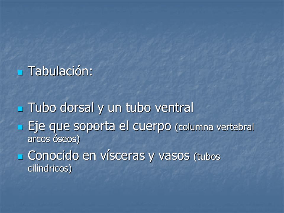 Tabulación: Tubo dorsal y un tubo ventral. Eje que soporta el cuerpo (columna vertebral arcos óseos)