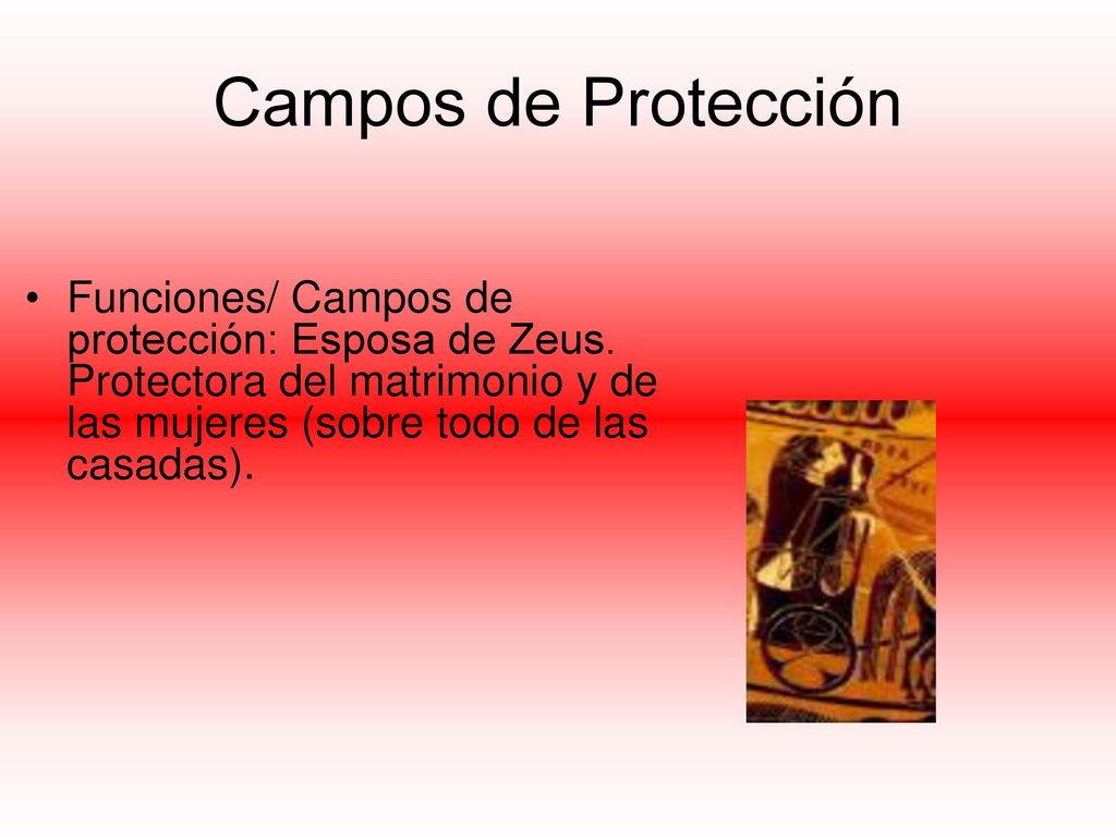 Campos de Protección Funciones/ Campos de protección: Esposa de Zeus.