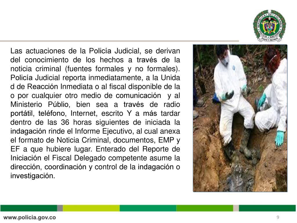 Las actuaciones de la Policía Judicial, se derivan del conocimiento de los hechos a través de la noticia criminal (fuentes formales y no formales).
