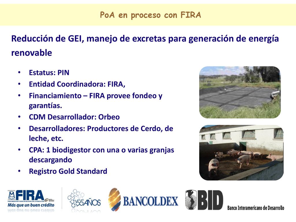 PoA en proceso con FIRA Reducción de GEI, manejo de excretas para generación de energía renovable. Estatus: PIN.