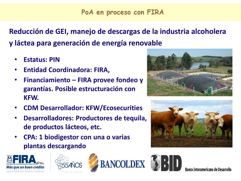 PoA en proceso con FIRA Reducción de GEI, manejo de descargas de la industria alcoholera y láctea para generación de energía renovable.