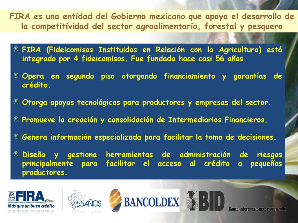 FIRA es una entidad del Gobierno mexicano que apoya el desarrollo de la competitividad del sector agroalimentario, forestal y pesquero