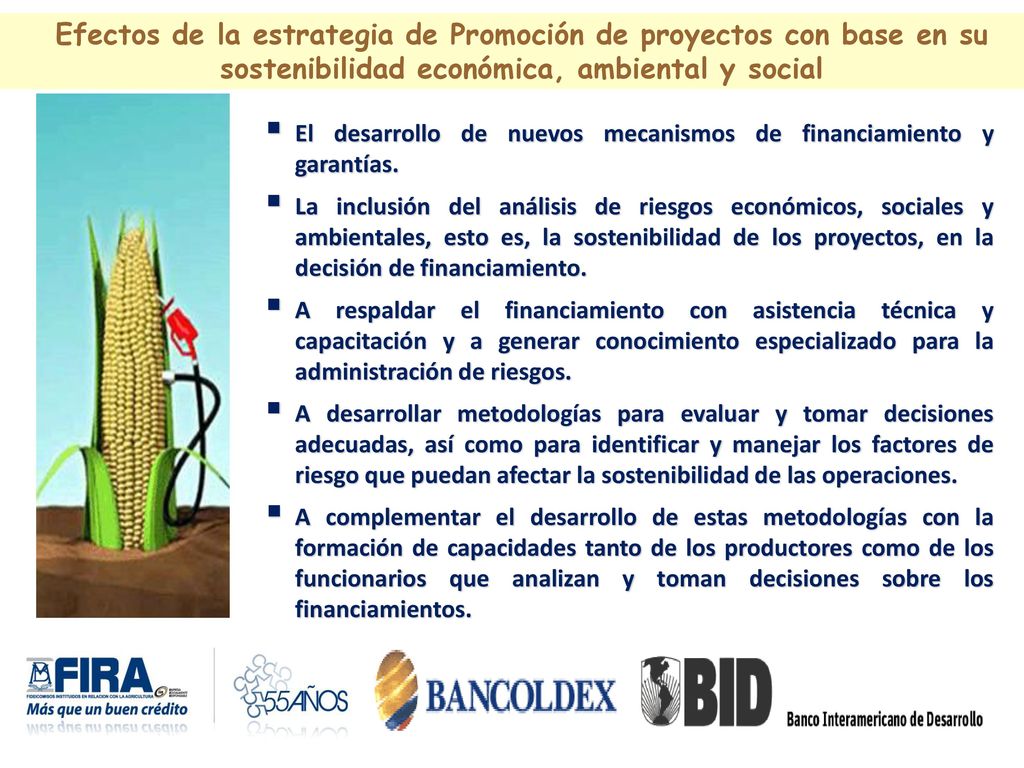 Efectos de la estrategia de Promoción de proyectos con base en su sostenibilidad económica, ambiental y social