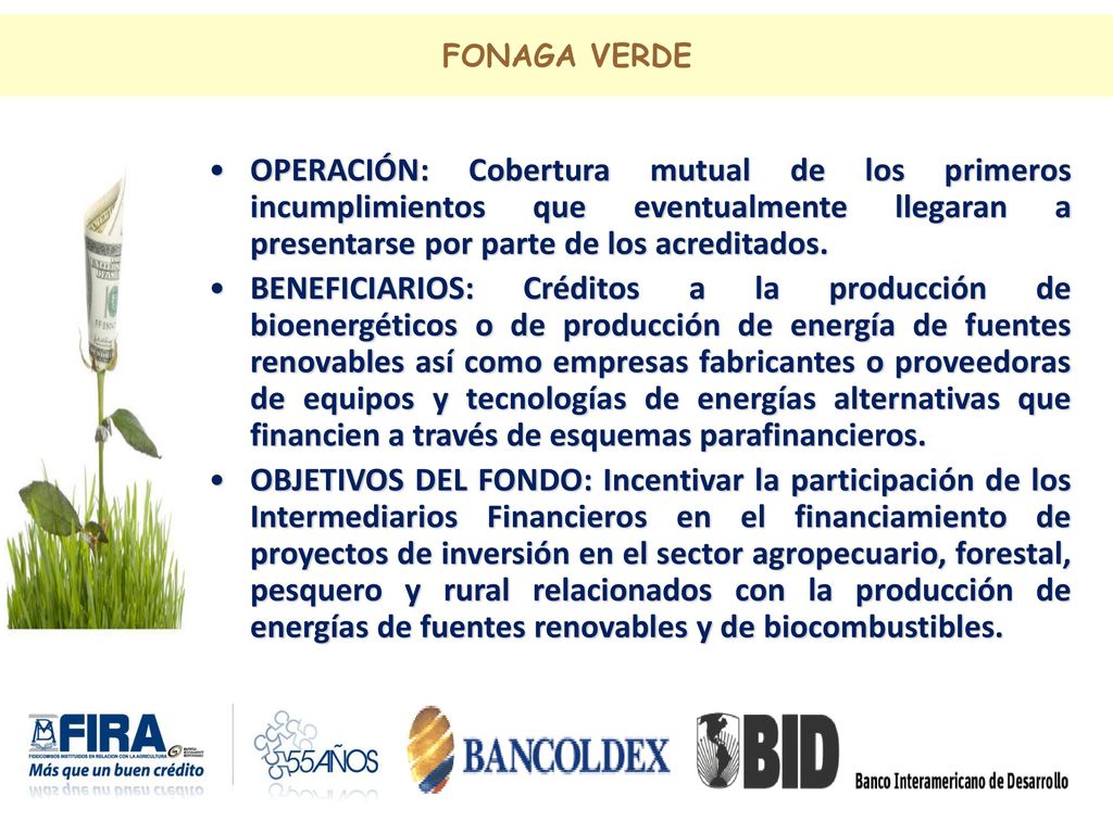 FONAGA VERDE OPERACIÓN: Cobertura mutual de los primeros incumplimientos que eventualmente llegaran a presentarse por parte de los acreditados.