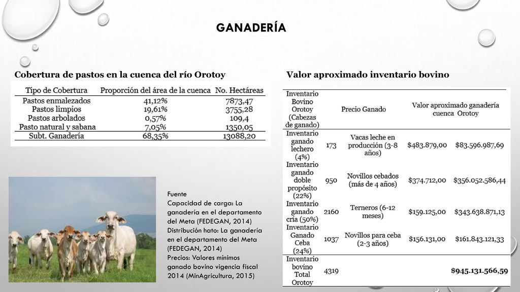 GANADERÍA Cobertura de pastos en la cuenca del río Orotoy