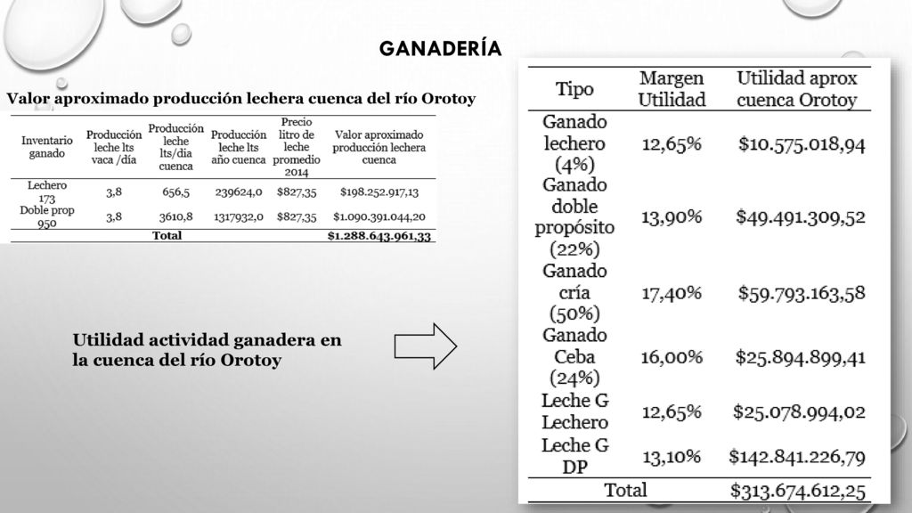 GANADERÍA Utilidad actividad ganadera en la cuenca del río Orotoy