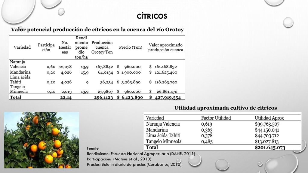 CÍTRICOS Valor potencial producción de cítricos en la cuenca del río Orotoy. Utilidad aproximada cultivo de cítricos.
