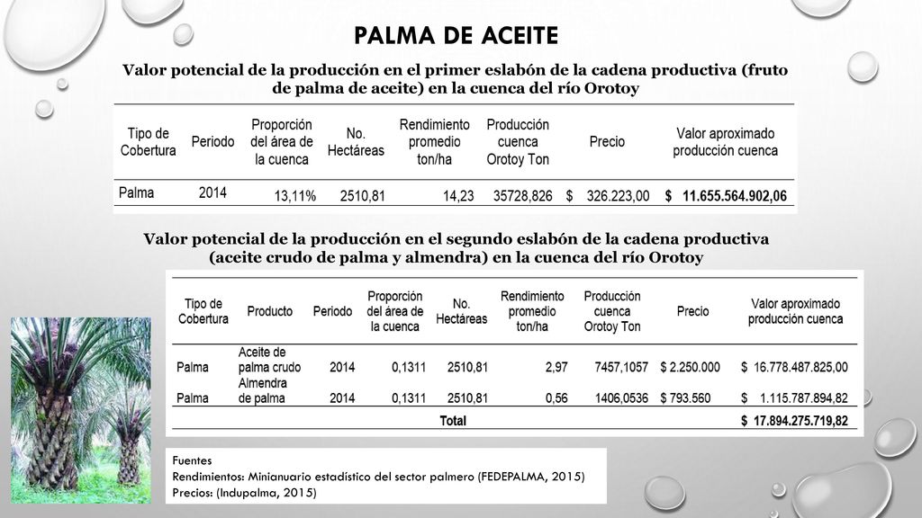 PALMA DE ACEITE Valor potencial de la producción en el primer eslabón de la cadena productiva (fruto de palma de aceite) en la cuenca del río Orotoy.