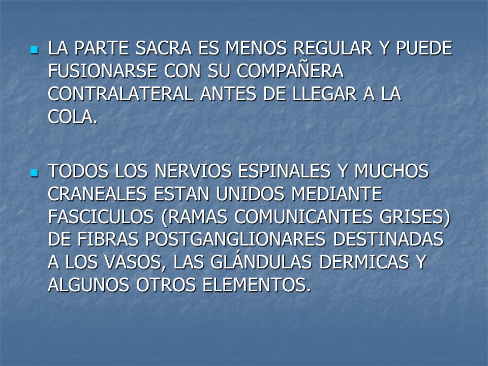 LA PARTE SACRA ES MENOS REGULAR Y PUEDE FUSIONARSE CON SU COMPAÑERA CONTRALATERAL ANTES DE LLEGAR A LA COLA.