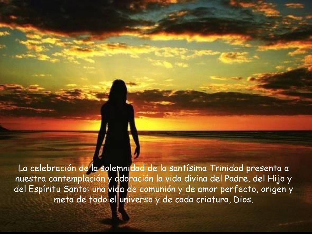 La celebración de la solemnidad de la santísima Trinidad presenta a nuestra contemplación y adoración la vida divina del Padre, del Hijo y del Espíritu Santo: una vida de comunión y de amor perfecto, origen y meta de todo el universo y de cada criatura, Dios.