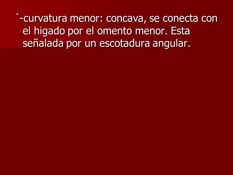 ´-curvatura menor: concava, se conecta con el higado por el omento menor.