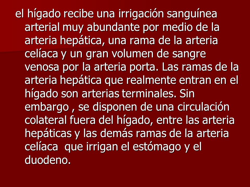 el hígado recibe una irrigación sanguínea arterial muy abundante por medio de la arteria hepática, una rama de la arteria celíaca y un gran volumen de sangre venosa por la arteria porta.