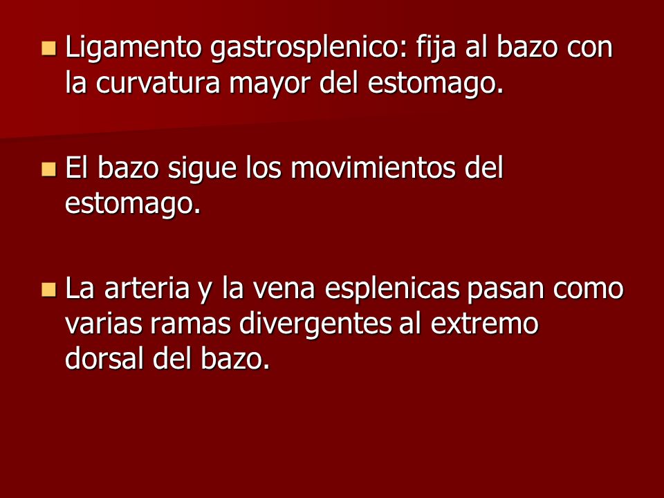 Ligamento gastrosplenico: fija al bazo con la curvatura mayor del estomago.