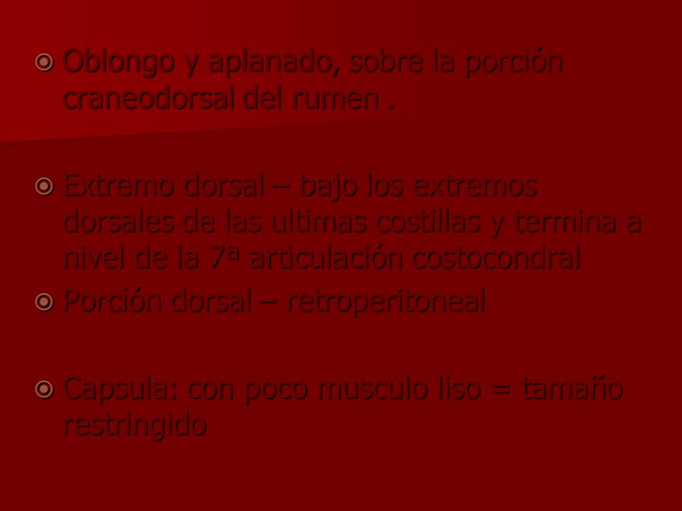 Oblongo y aplanado, sobre la porción craneodorsal del rumen .