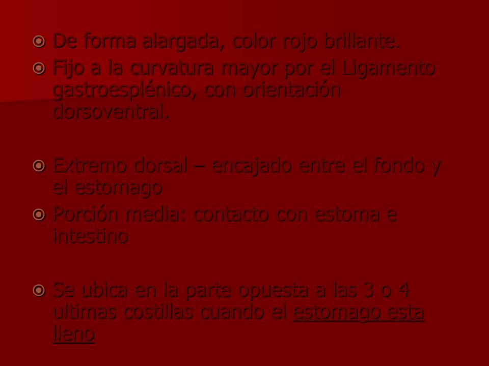 De forma alargada, color rojo brillante.