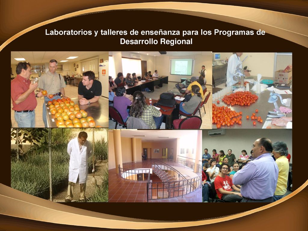 Laboratorios y talleres de enseñanza para los Programas de