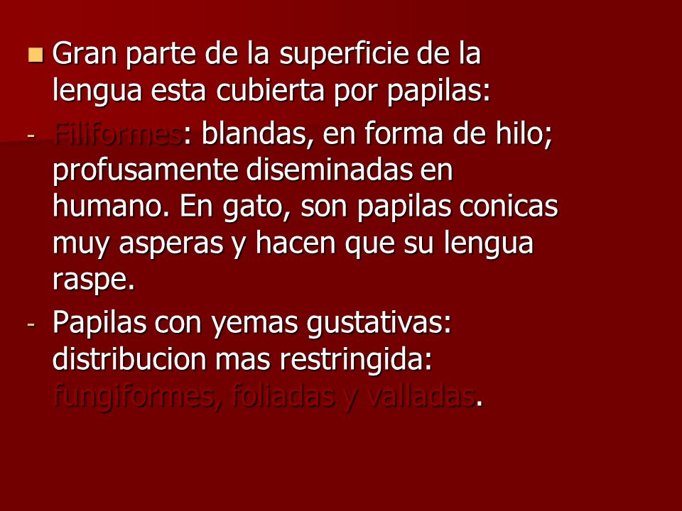 Gran parte de la superficie de la lengua esta cubierta por papilas: