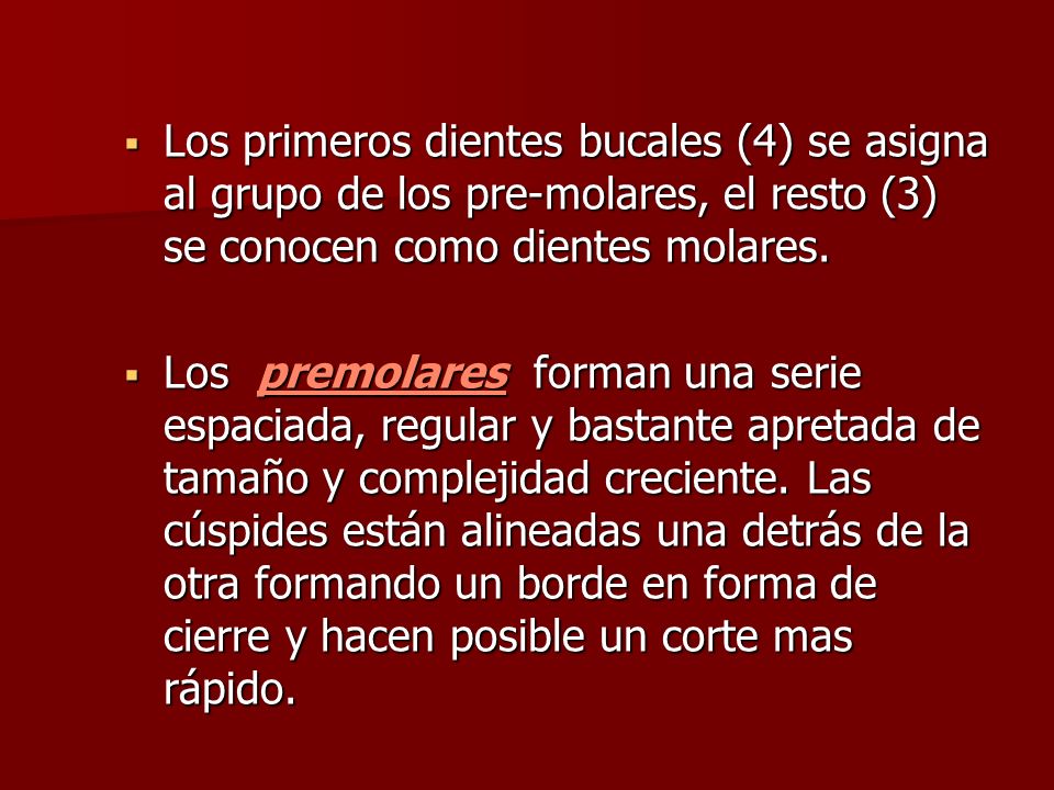 Los primeros dientes bucales (4) se asigna al grupo de los pre-molares, el resto (3) se conocen como dientes molares.