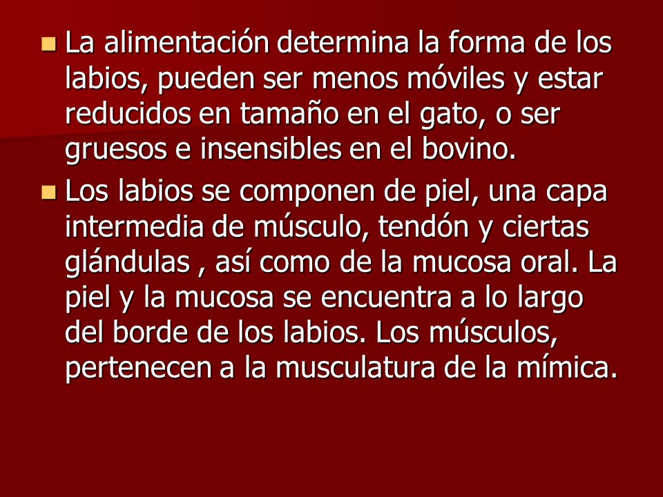 La alimentación determina la forma de los labios, pueden ser menos móviles y estar reducidos en tamaño en el gato, o ser gruesos e insensibles en el bovino.
