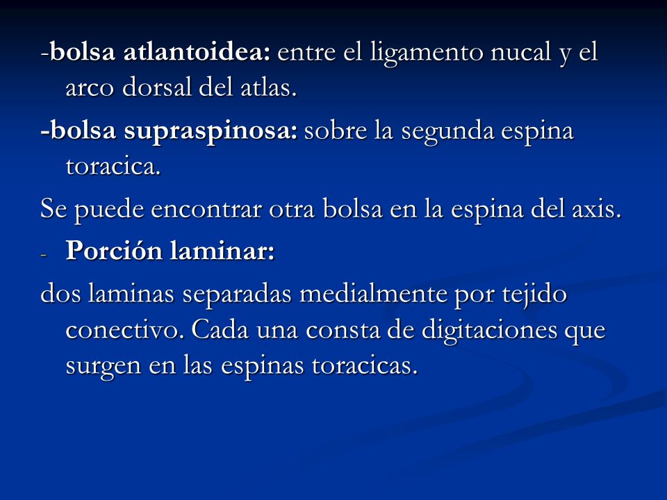 -bolsa atlantoidea: entre el ligamento nucal y el arco dorsal del atlas.