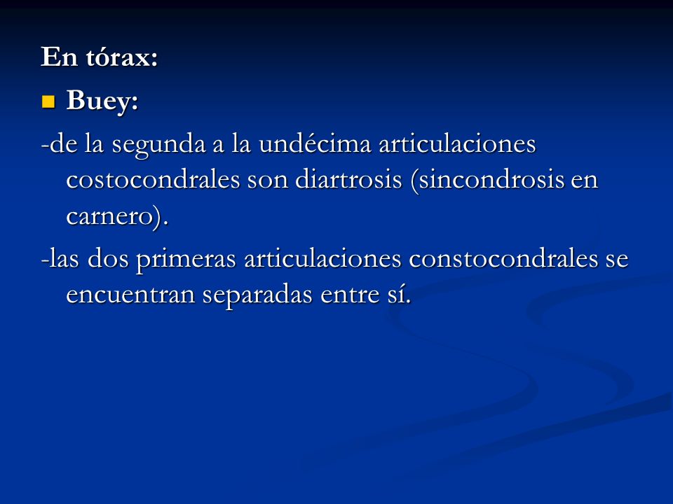 En tórax: Buey: -de la segunda a la undécima articulaciones costocondrales son diartrosis (sincondrosis en carnero).
