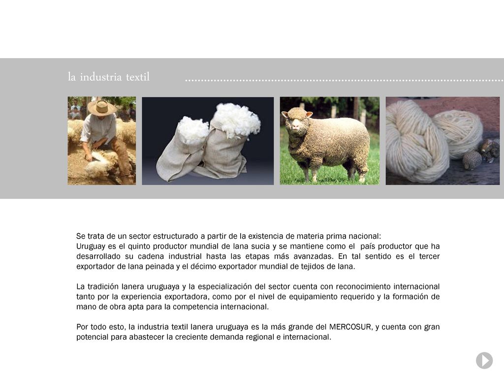 la industria textil Se trata de un sector estructurado a partir de la existencia de materia prima nacional: