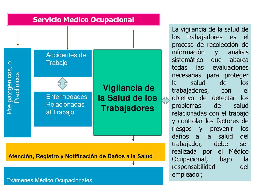 Servicio Medico Ocupacional Vigilancia de la Salud de los Trabajadores