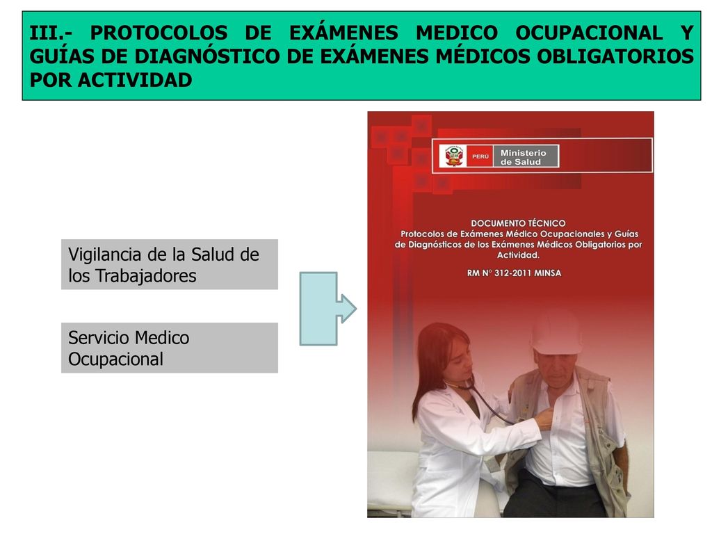 III.- PROTOCOLOS DE EXÁMENES MEDICO OCUPACIONAL Y GUÍAS DE DIAGNÓSTICO DE EXÁMENES MÉDICOS OBLIGATORIOS POR ACTIVIDAD