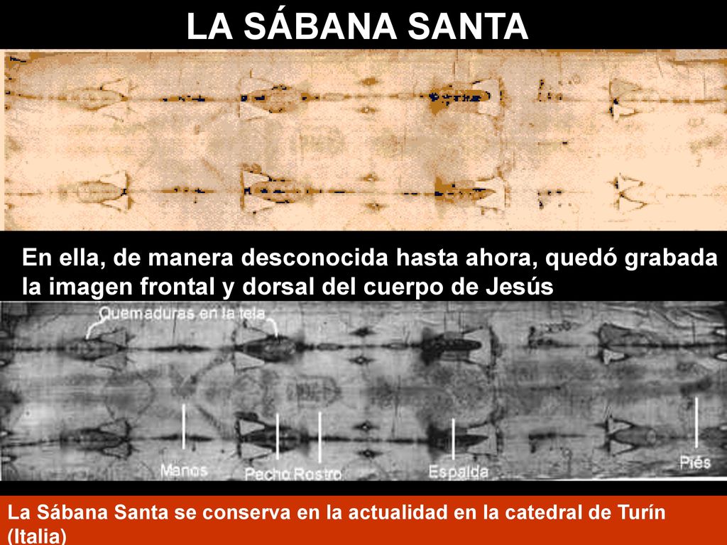 LA SÁBANA SANTA En ella, de manera desconocida hasta ahora, quedó grabada la imagen frontal y dorsal del cuerpo de Jesús.