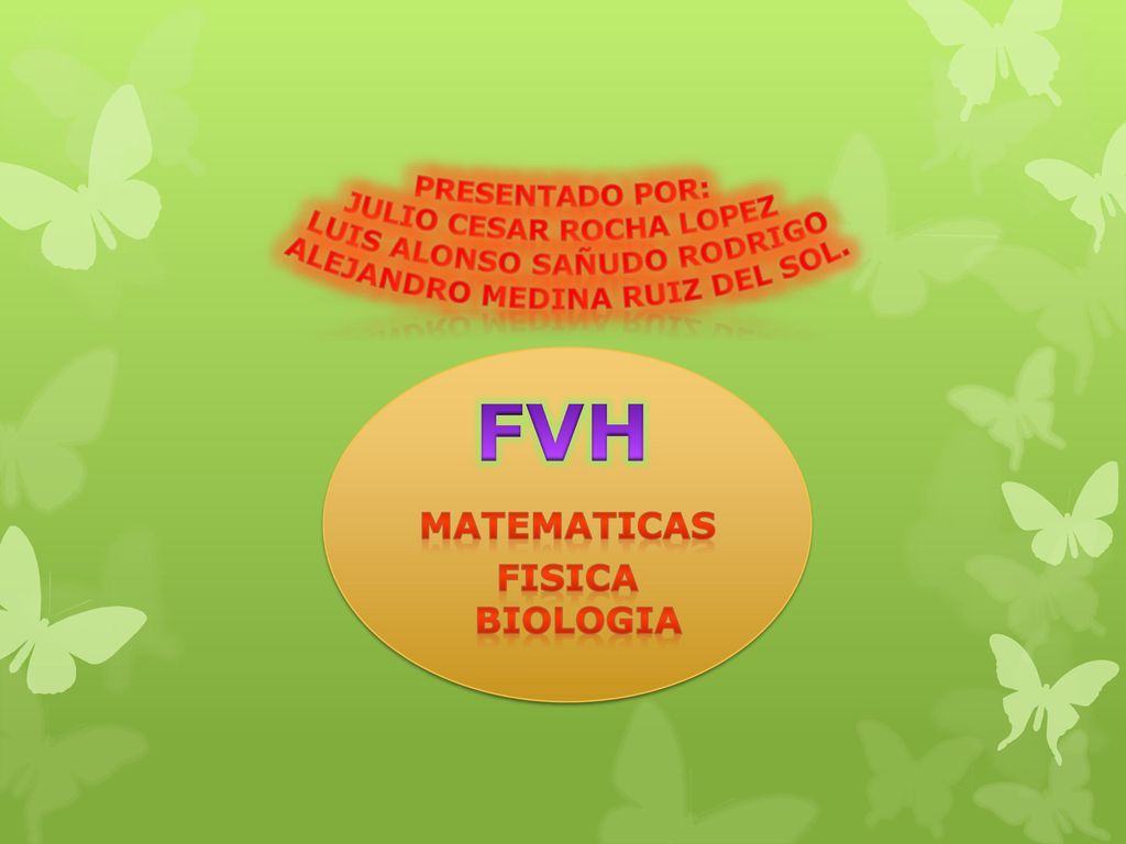 FVH PRESENTADO POR: JULIO CESAR ROCHA LOPEZ LUIS ALONSO SAÑUDO RODRIGO
