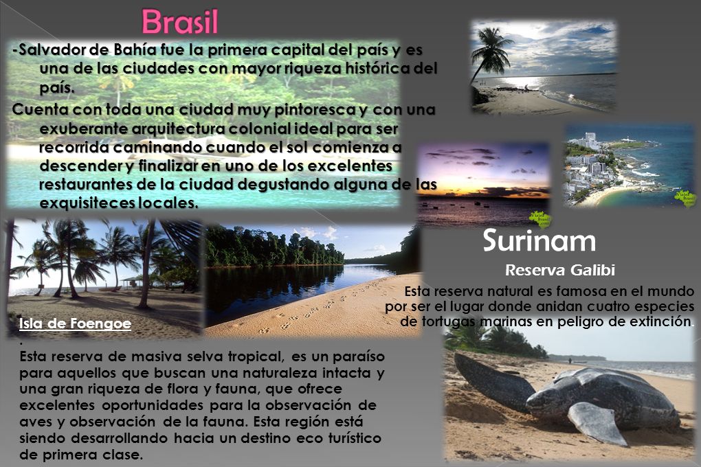 Brasil Surinam Reserva Galibi