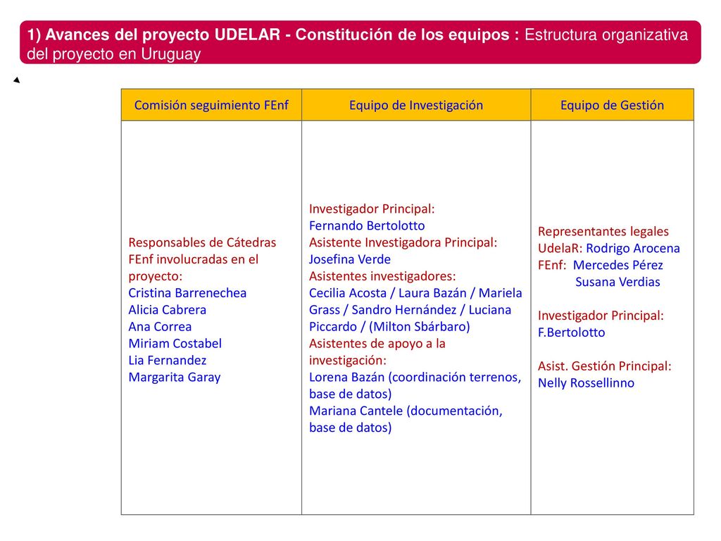 1) Avances del proyecto UDELAR - Constitución de los equipos : Estructura organizativa del proyecto en Uruguay