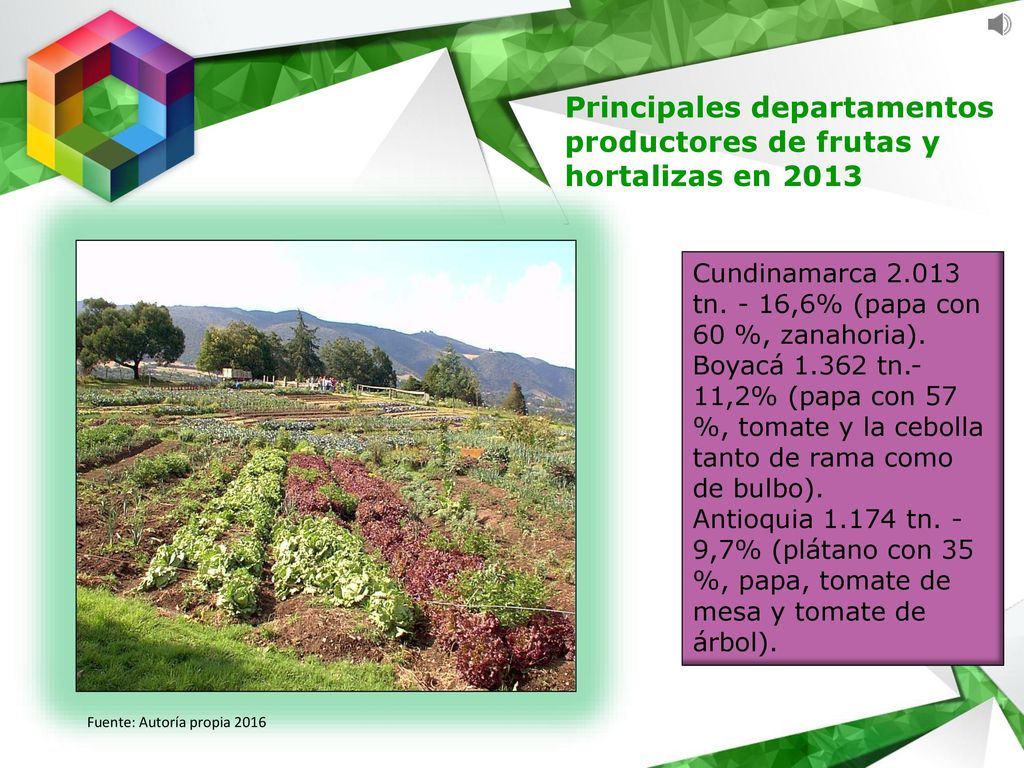 Principales departamentos productores de frutas y hortalizas en 2013