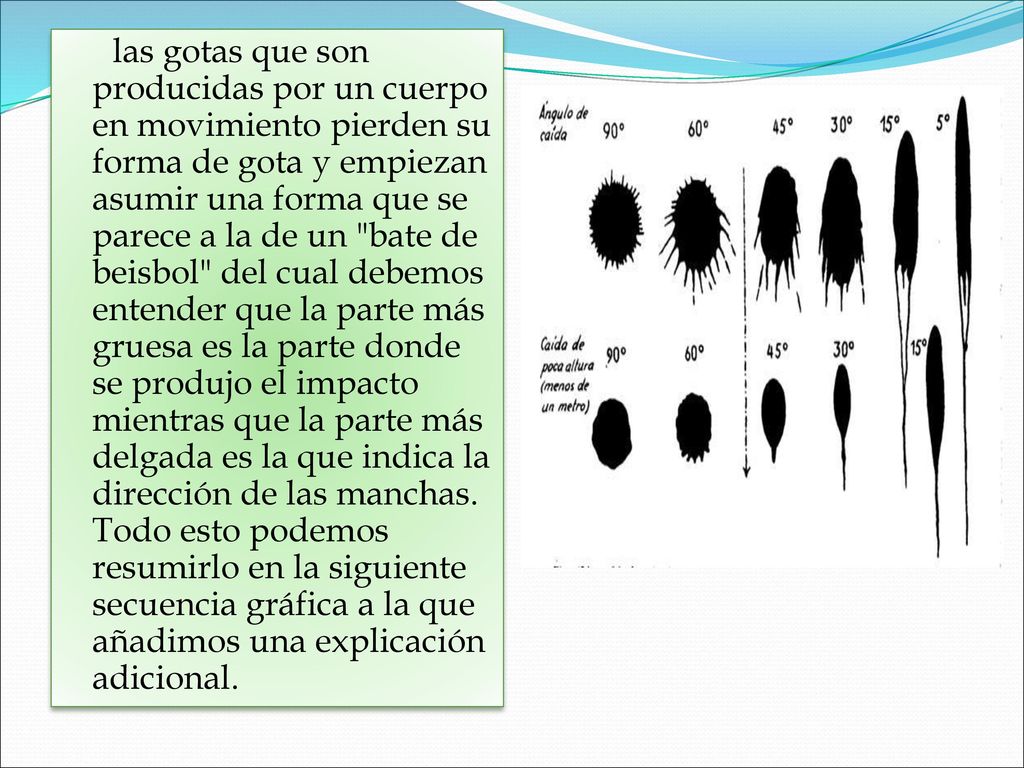 las gotas que son producidas por un cuerpo en movimiento pierden su forma de gota y empiezan asumir una forma que se parece a la de un bate de beisbol del cual debemos entender que la parte más gruesa es la parte donde se produjo el impacto mientras que la parte más delgada es la que indica la dirección de las manchas.