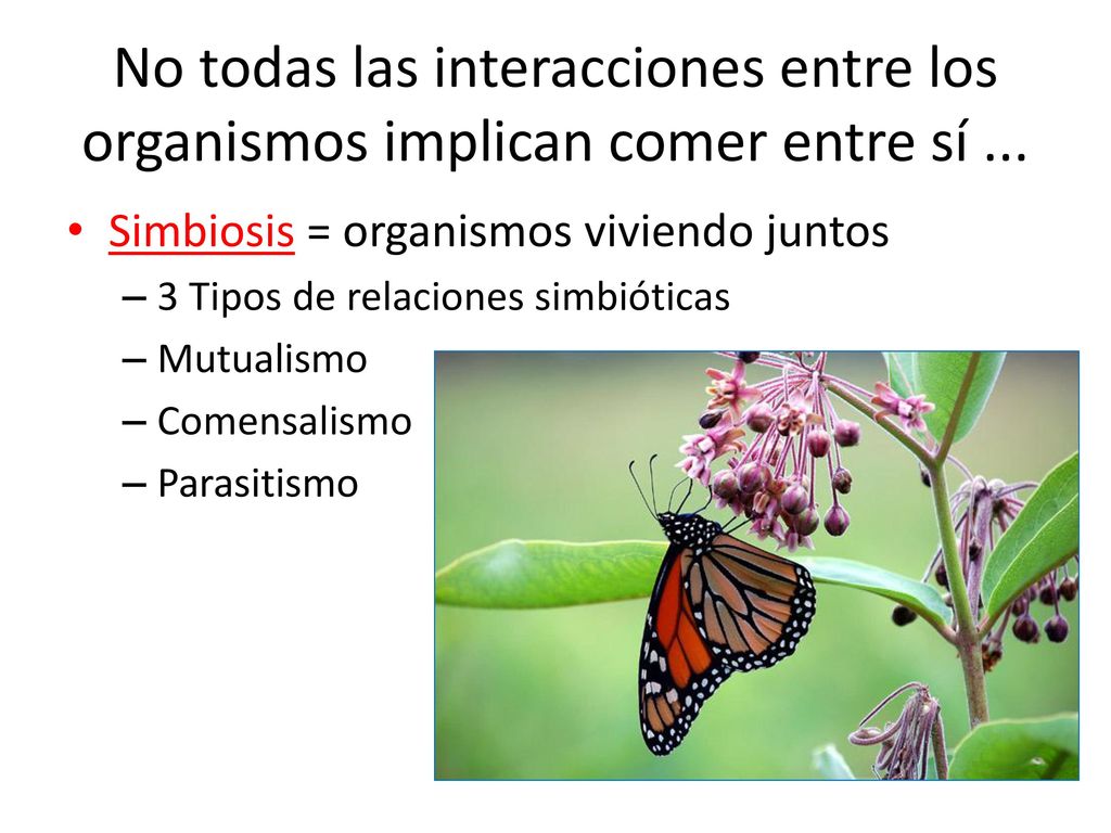 No todas las interacciones entre los organismos implican comer entre sí ...