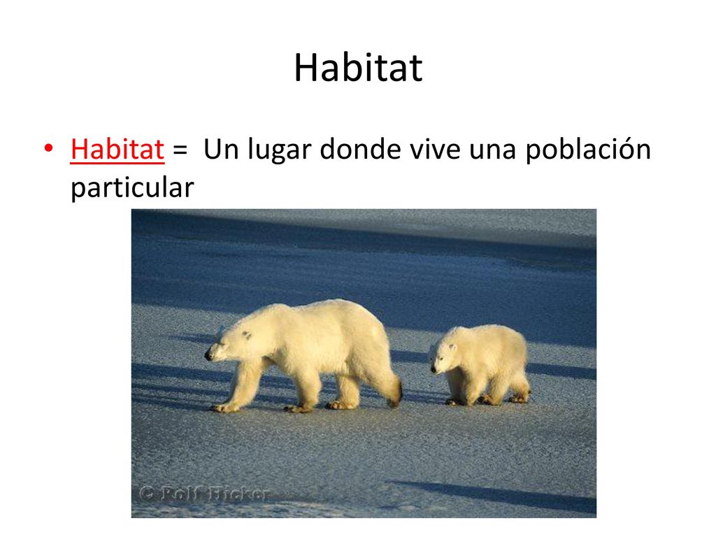 Habitat Habitat = Un lugar donde vive una población particular