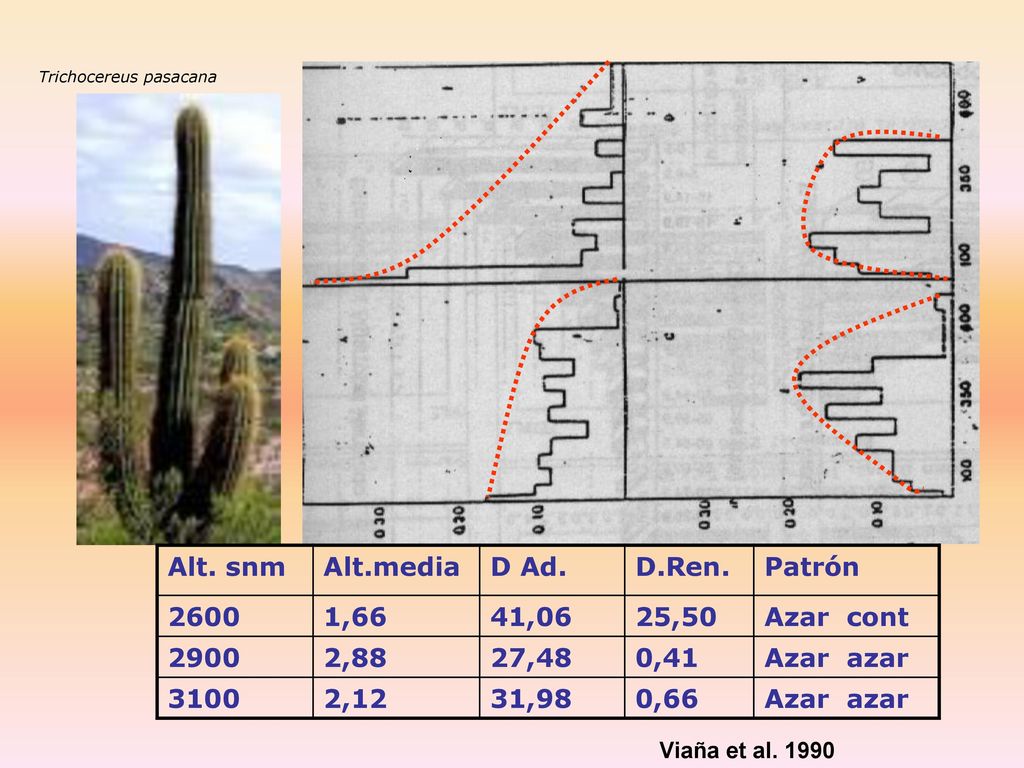 Alt. snm Alt.media D Ad. D.Ren. Patrón ,66 41,06 25,50 Azar cont