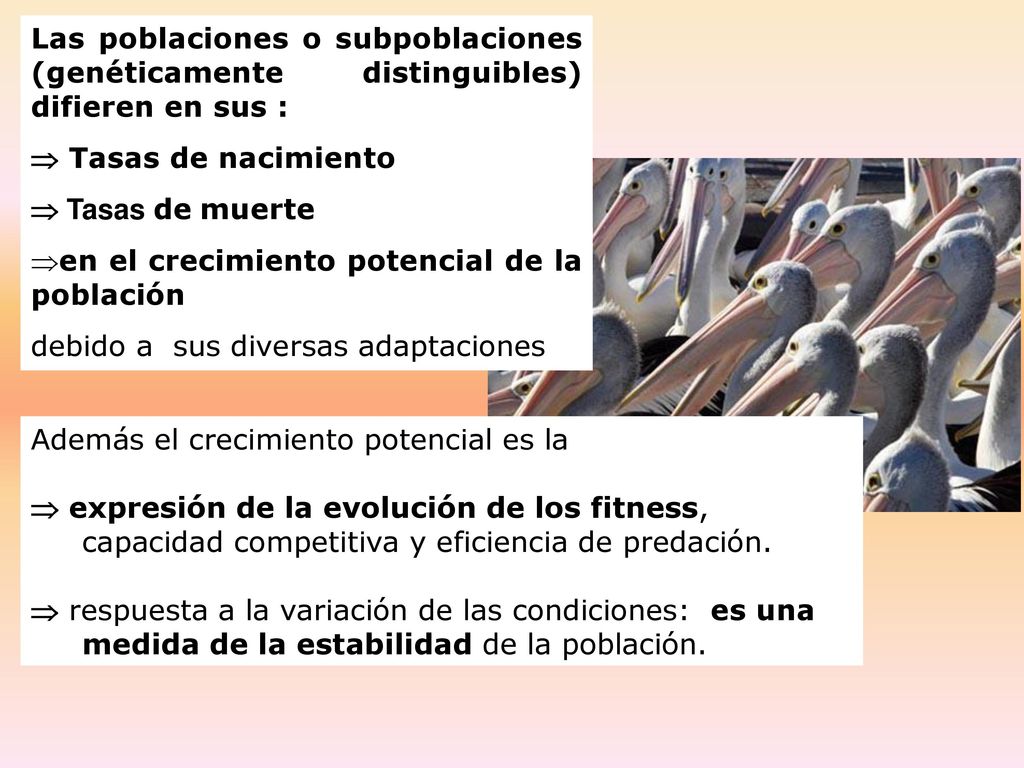 Las poblaciones o subpoblaciones (genéticamente distinguibles) difieren en sus :