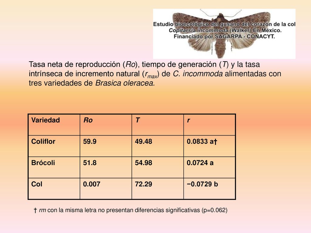 Tasa neta de reproducción (Ro), tiempo de generación (T) y la tasa intrínseca de incremento natural (rmax) de C. incommoda alimentadas con tres variedades de Brasica oleracea.
