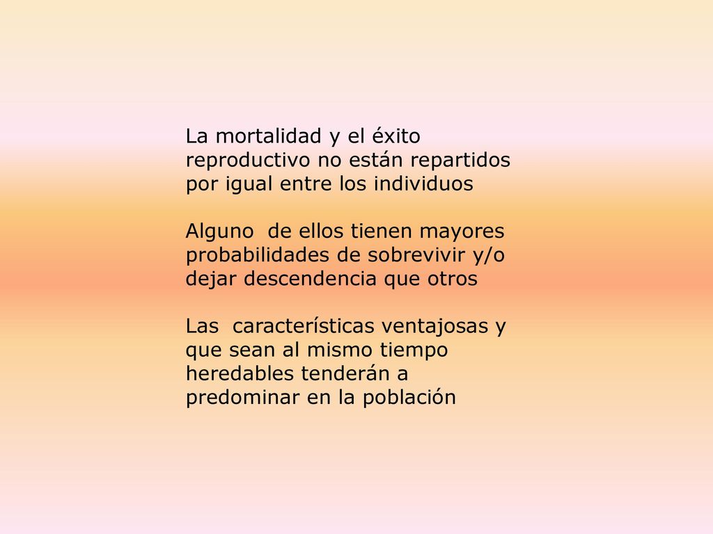 La mortalidad y el éxito reproductivo no están repartidos por igual entre los individuos