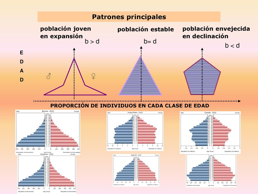 Patrones principales b > d b= d b < d ♂ ♀ población joven